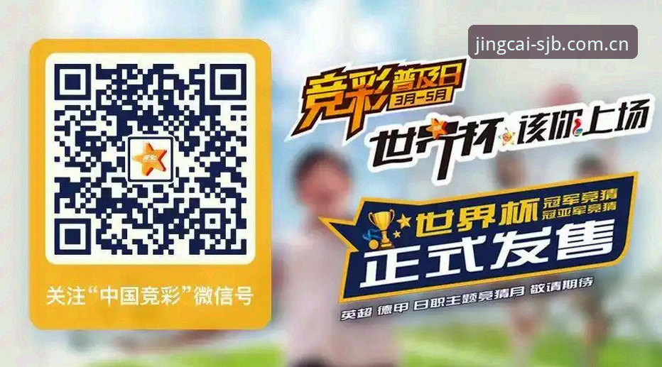 世界杯竞彩平台登录 资深用户分享:世界杯竞彩平台登录全攻略,从注册到投注的实战经验